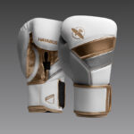 Hayabusa T3 White/Gold