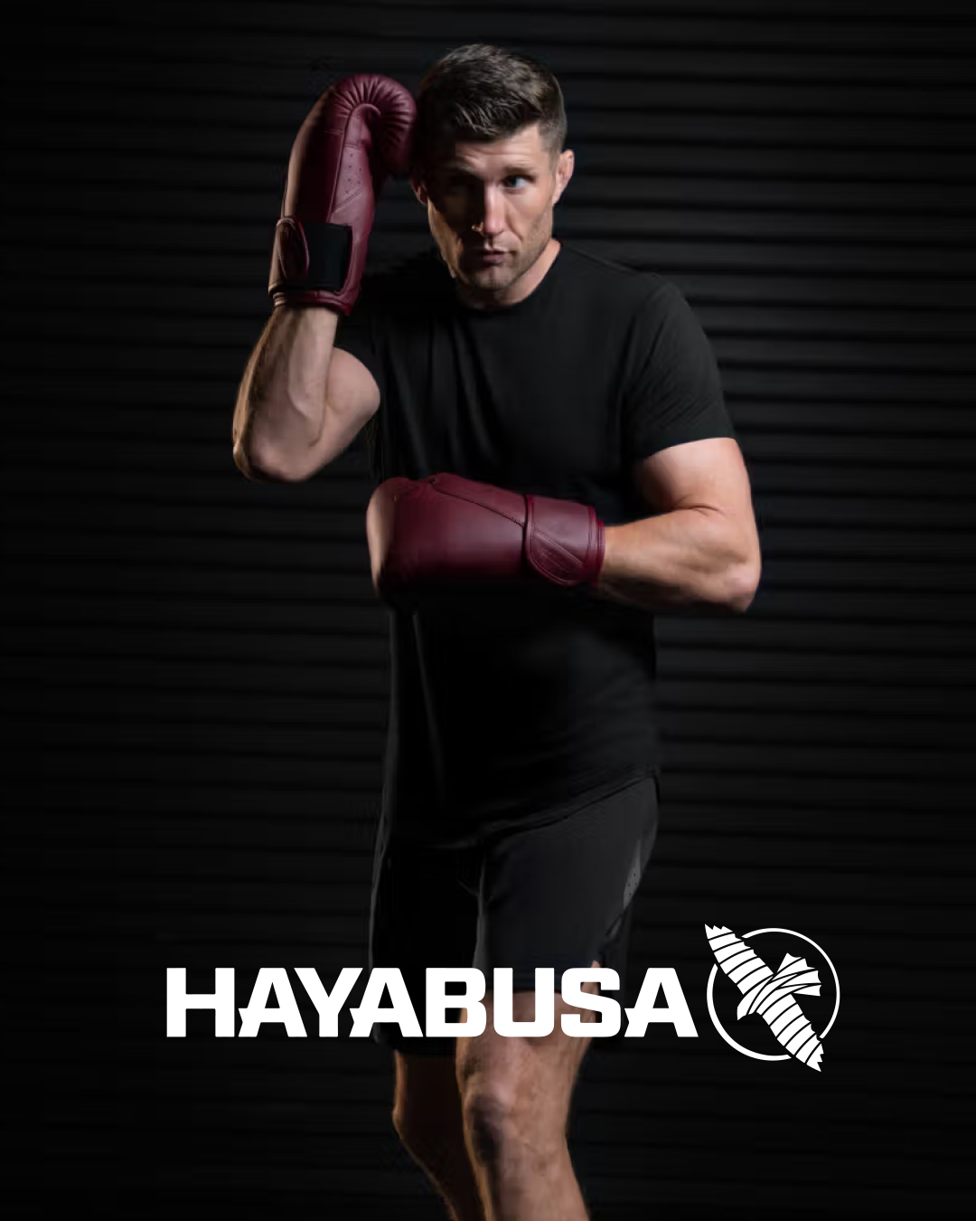 hayabusa za glavnu