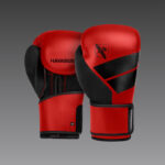 Hayabusa S4 Boxing Gloves